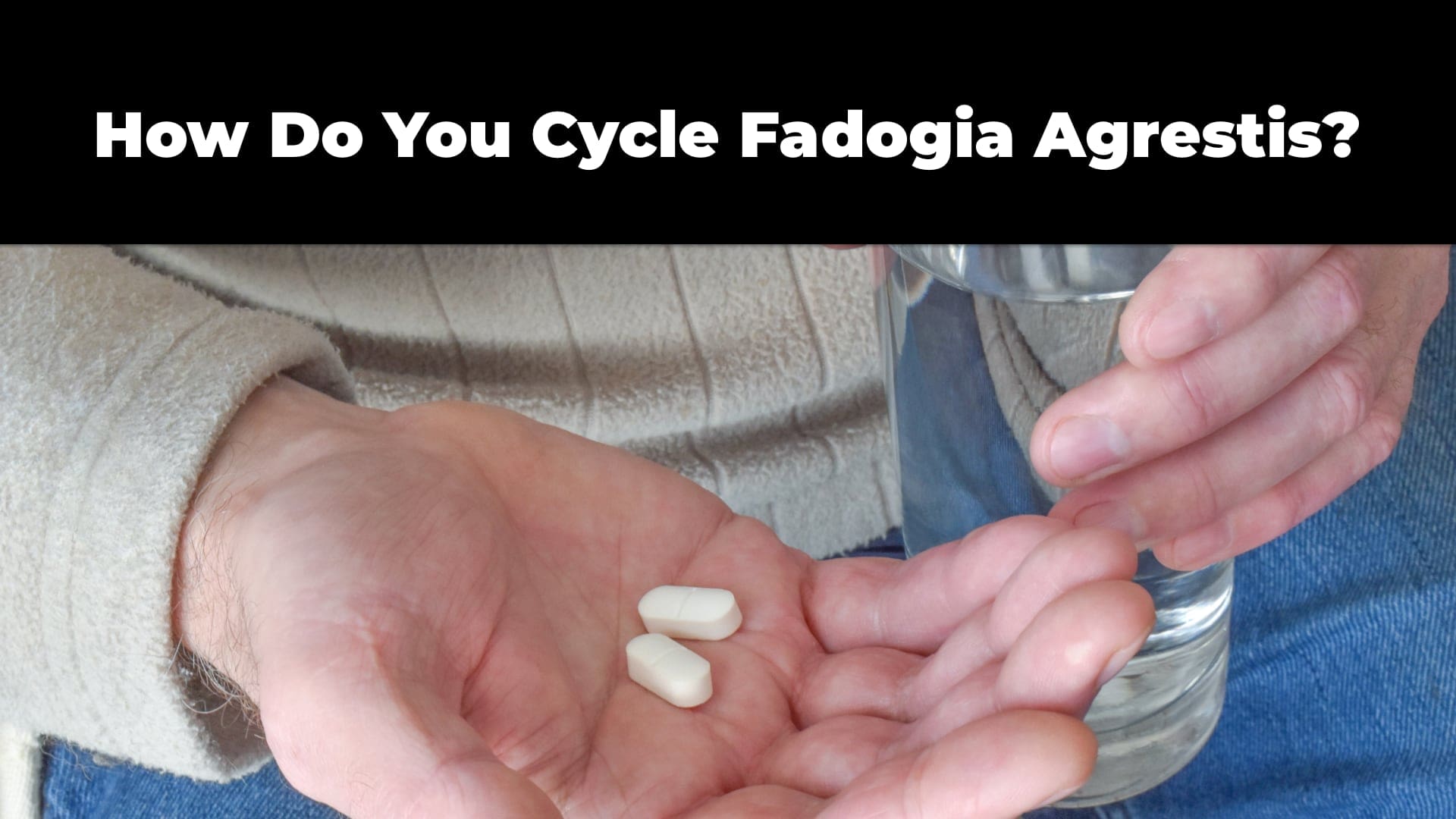 How Do You Cycle Fadogia Agrestis?