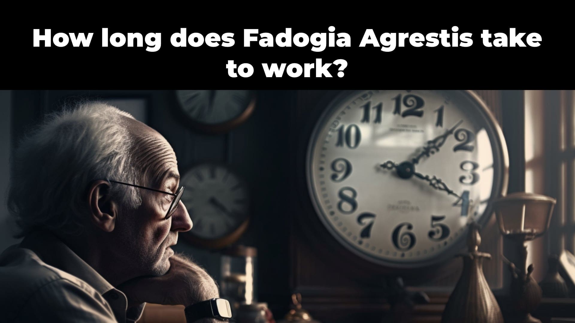 How long does Fadogia Agrestis take to work?