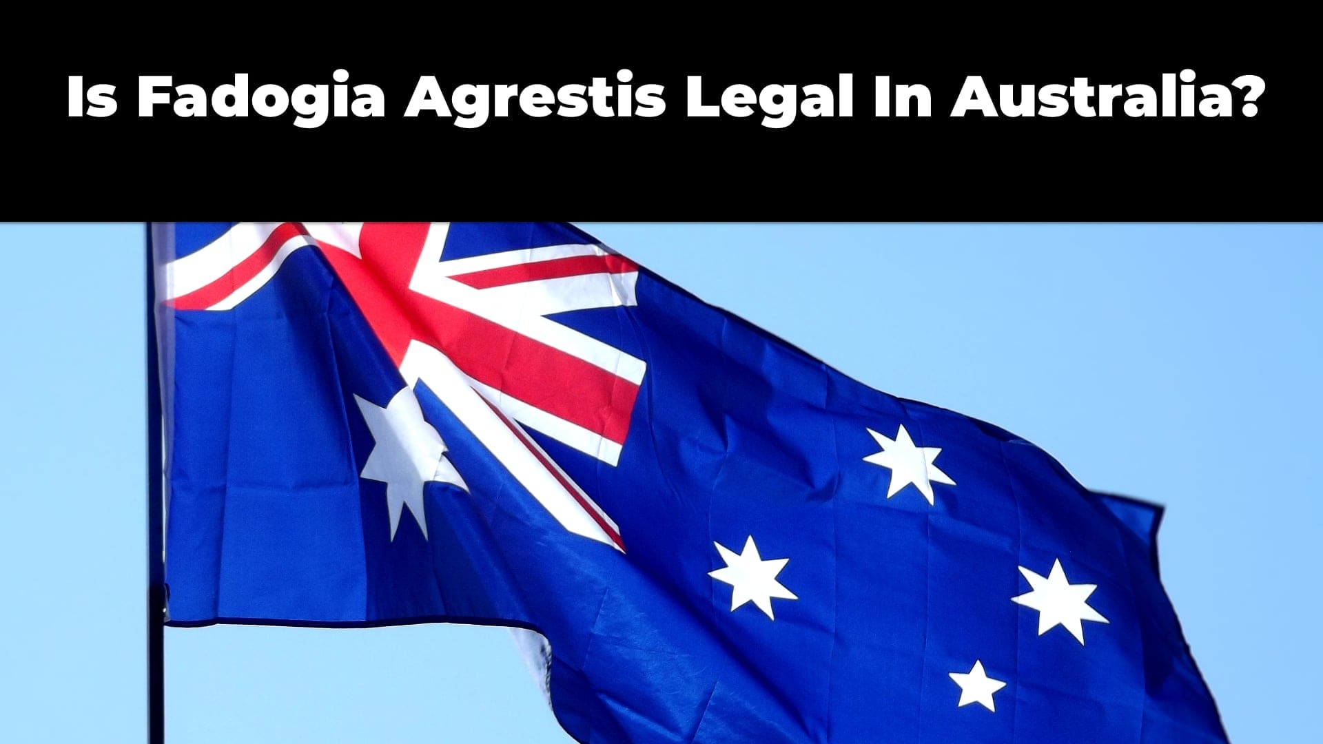 Is Fadogia Agrestis Legal In Australia?