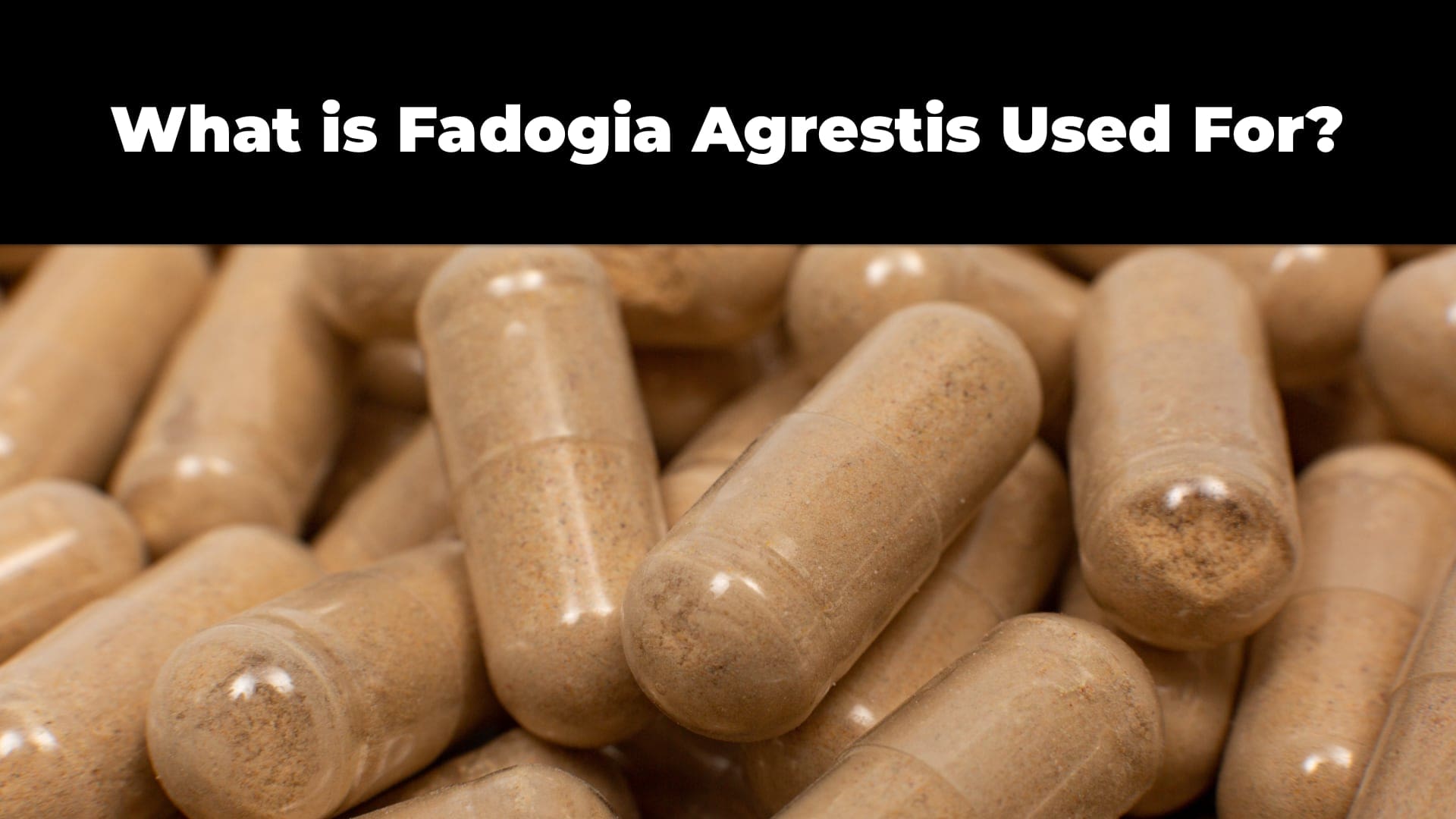 What is Fadogia Agrestis Used For?